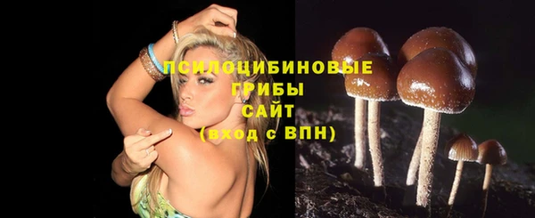 прущая мука Аксай