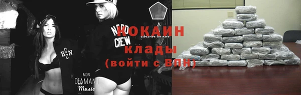 молекула духа Надым