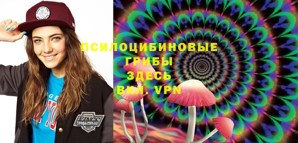 молекула духа Надым
