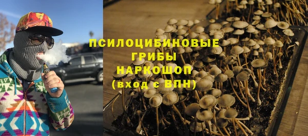 винт Нея