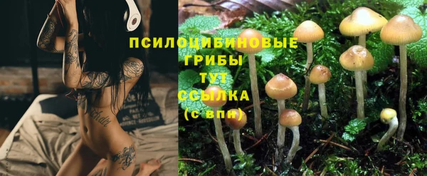 винт Нея