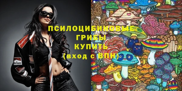 молекула духа Надым
