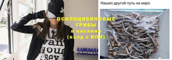 каннабис Нефтекумск