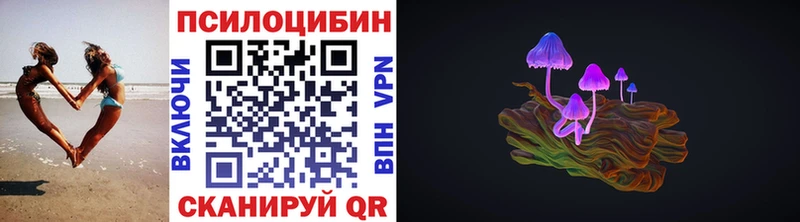 наркошоп  Орлов  Псилоцибиновые грибы Psilocybe 